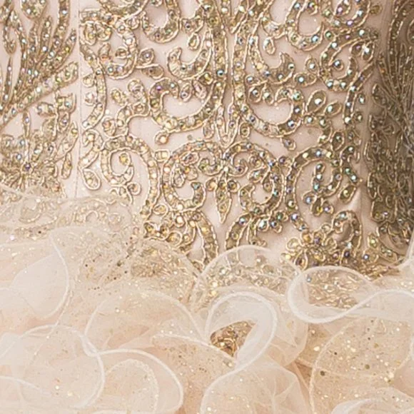 NEW LONG SLEEVELESS MESH BALL GOWN EMBROIDERED WITH RHINESTONES & LACE GL2208